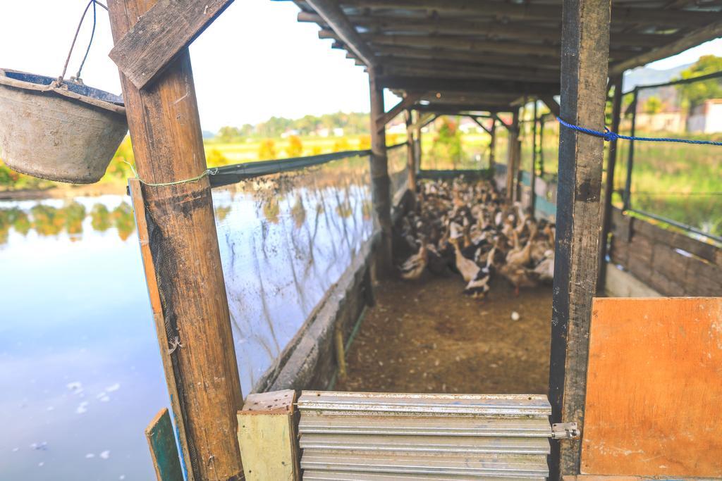 بوغيتّينغي Rumah Pakankamih المظهر الخارجي الصورة